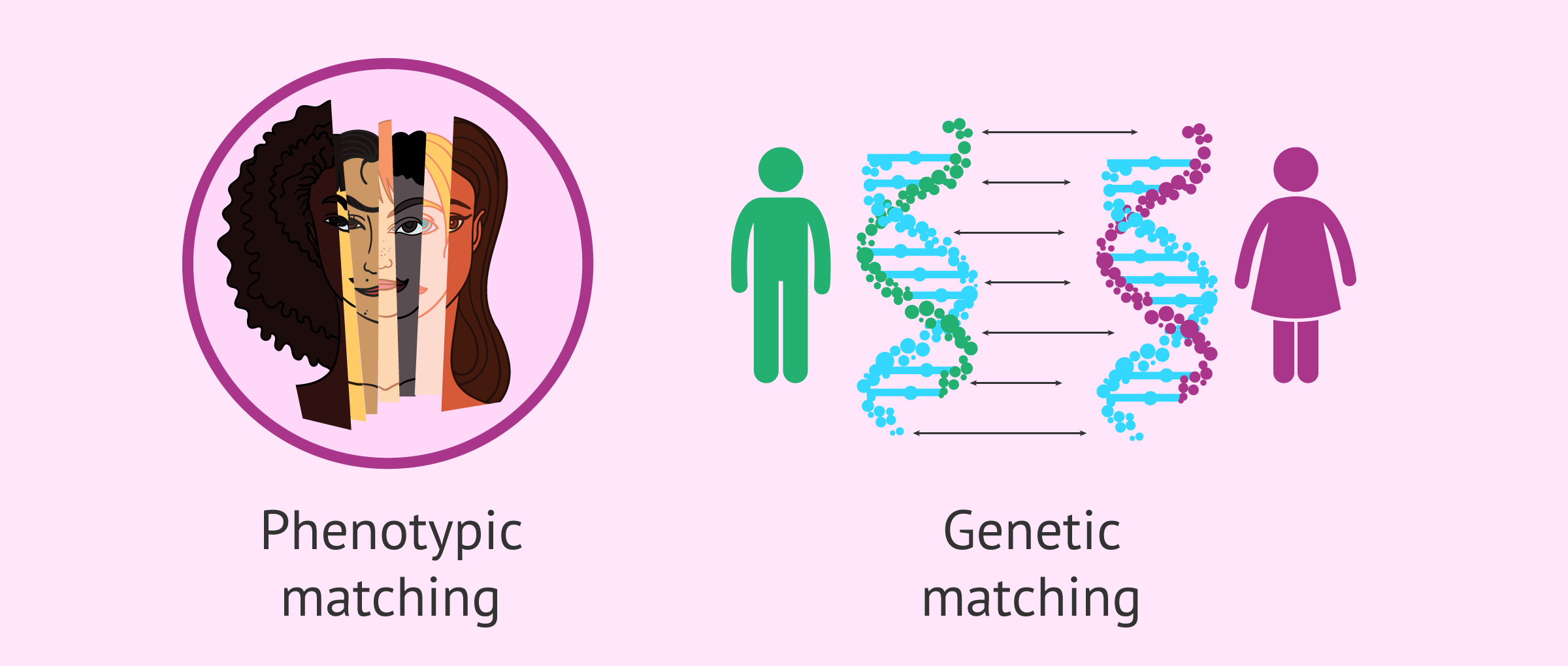 Genetic Matching
